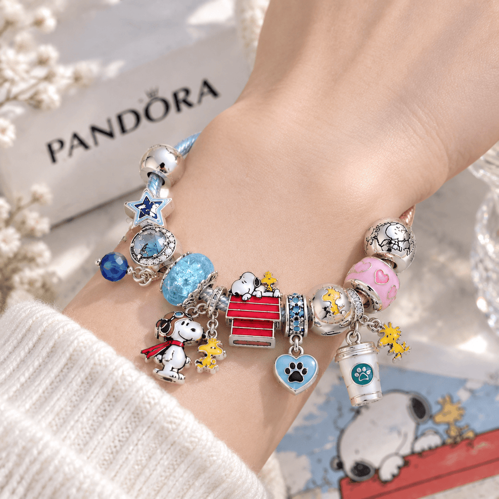 SPNY Silver Charm Bracelet Set PTKL